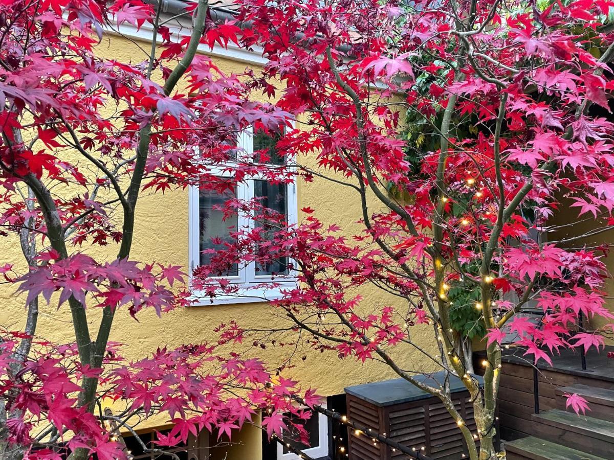 Villa A Hotel Оденсе Экстерьер фото